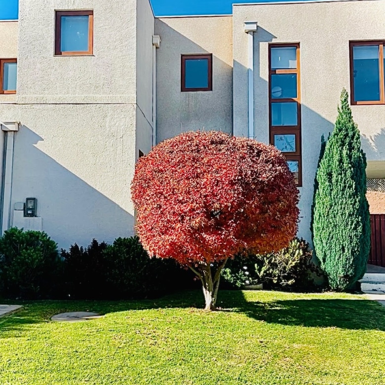 Casa en Condominio. Calle Onofre Jarpa, La Reina