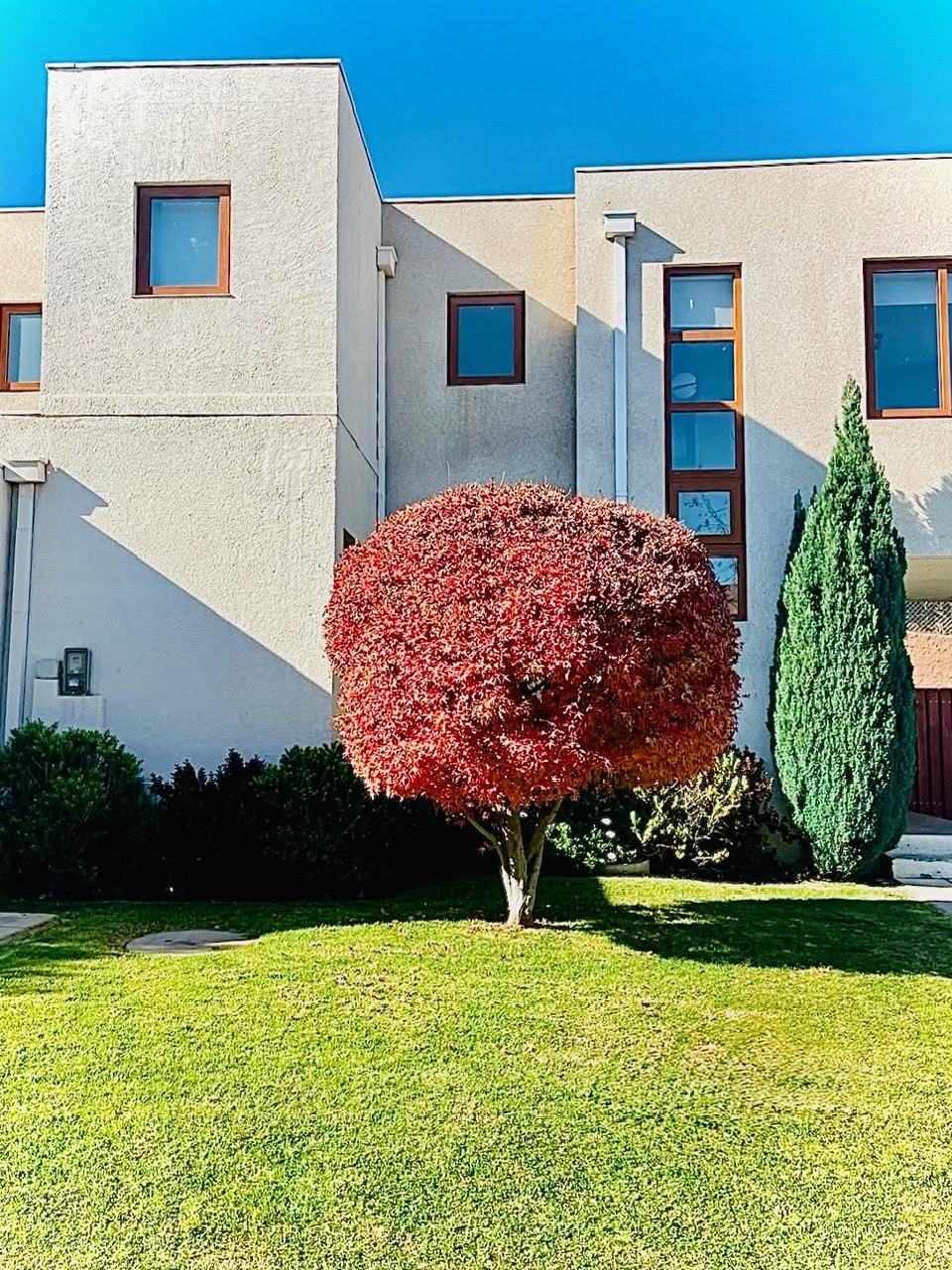 6585c608-4567-47bd-aefe-f37006d6668a (1) Casa en Condominio. Calle Onofre Jarpa, La Reina